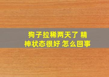 狗子拉稀两天了 精神状态很好 怎么回事